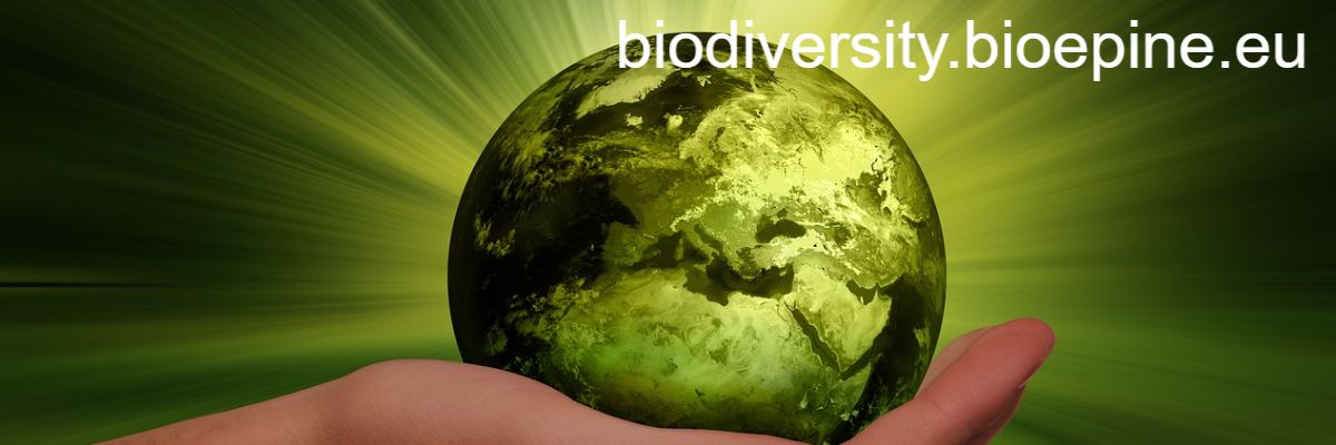 biodiversity.bioepine.eu